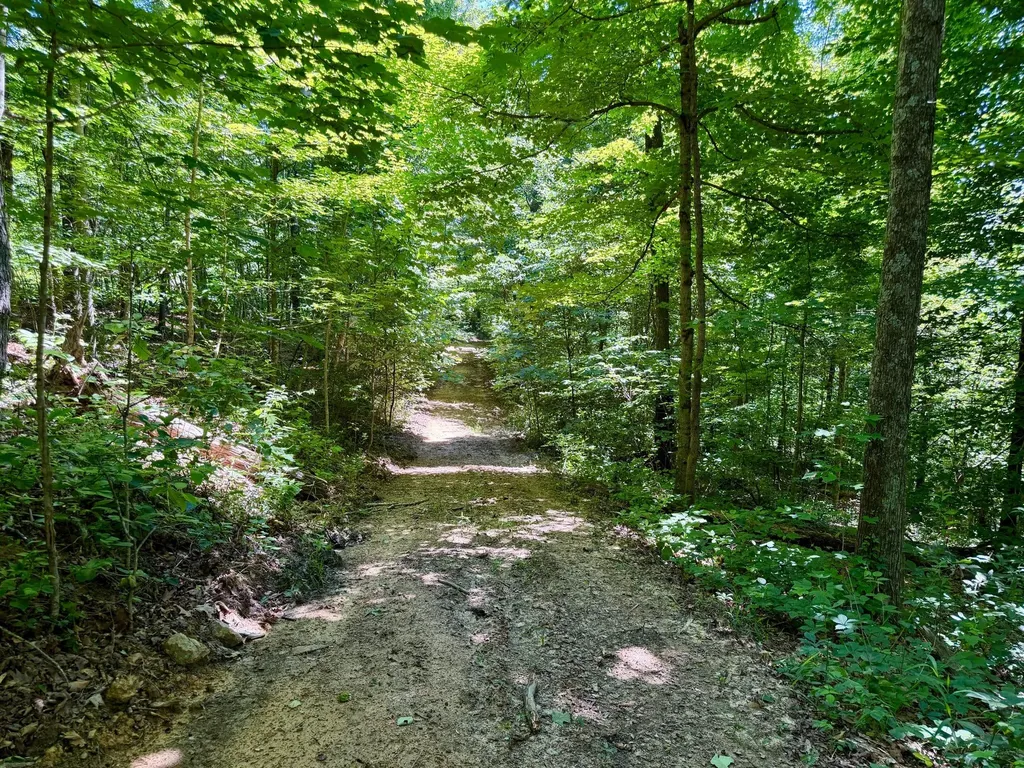 165A Open Fork Road Olive Hill KY 41164