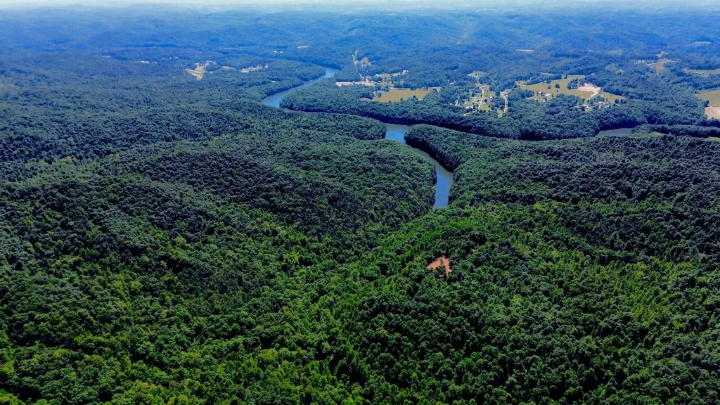 165A Open Fork Road Olive Hill KY 41164