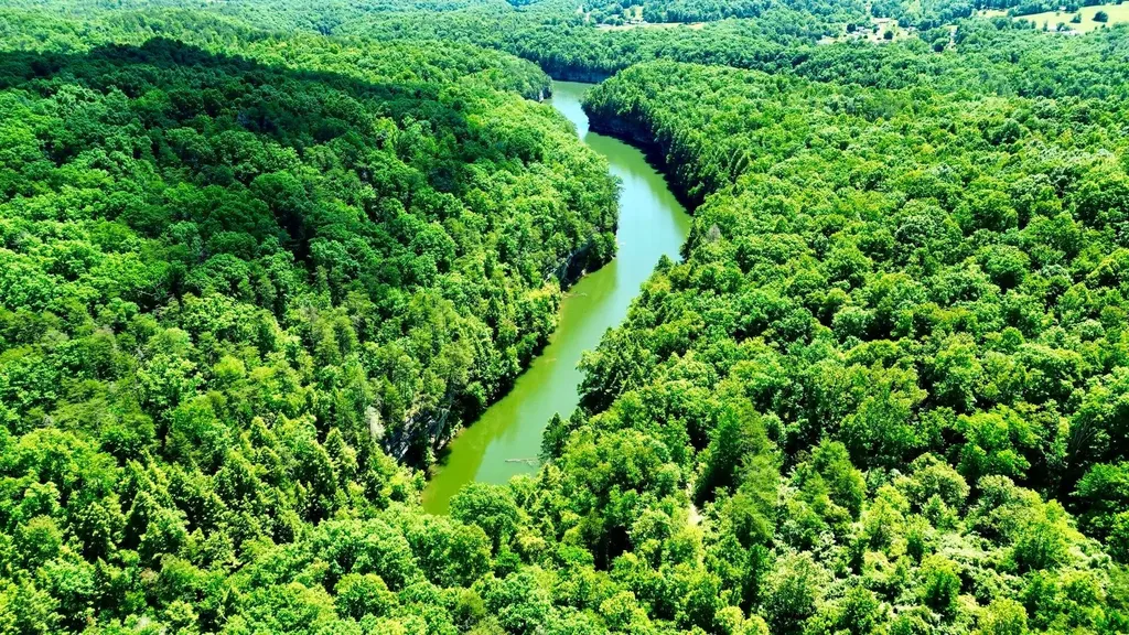 165A Open Fork Road Olive Hill KY 41164