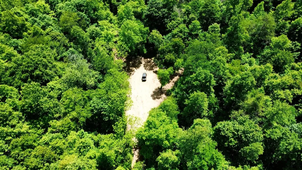 165A Open Fork Road Olive Hill KY 41164