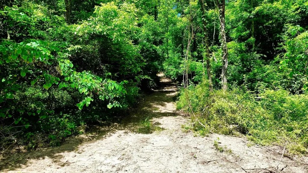 165A Open Fork Road Olive Hill KY 41164