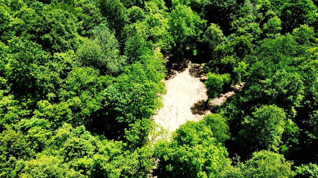 165A Open Fork Road Olive Hill KY 41164