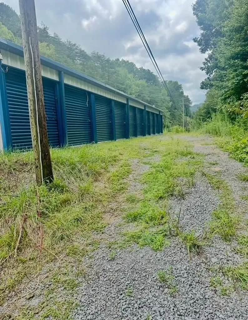 Tbd Highway 119 Calvin KY 40813
