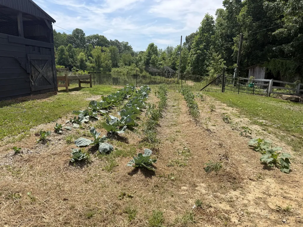 75 Letha Petrey Road Williamsburg KY 40769
