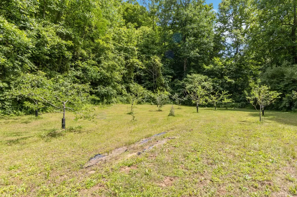 5487 W Kentucky Highway 30 Jackson KY 41339