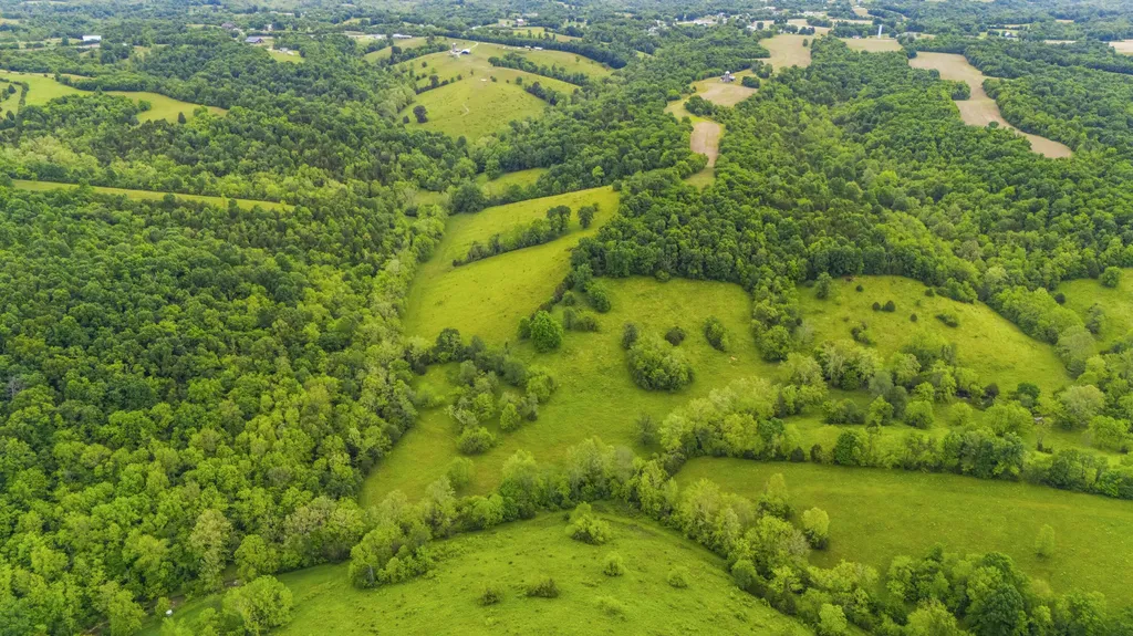 2997 U.s. 68 Ewing KY 41039