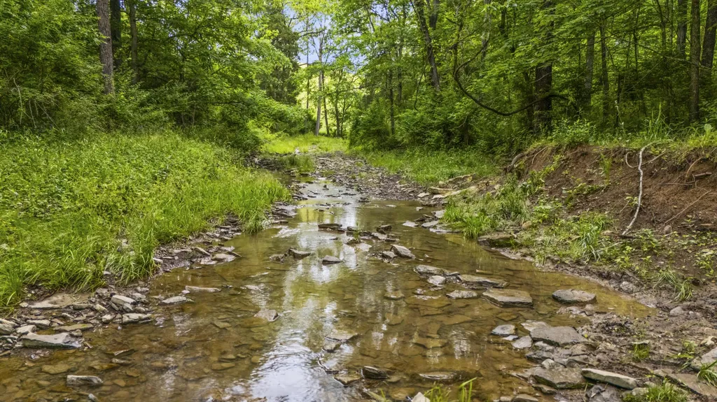 2997 U.s. 68 Ewing KY 41039