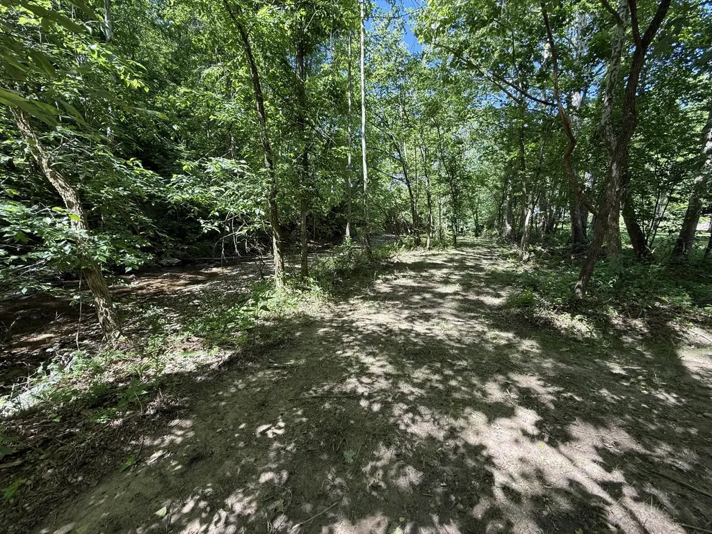 1233 Dog Trot Road Frenchburg KY 40322