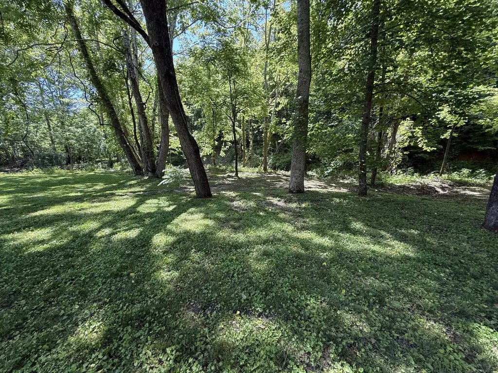 1233 Dog Trot Road Frenchburg KY 40322