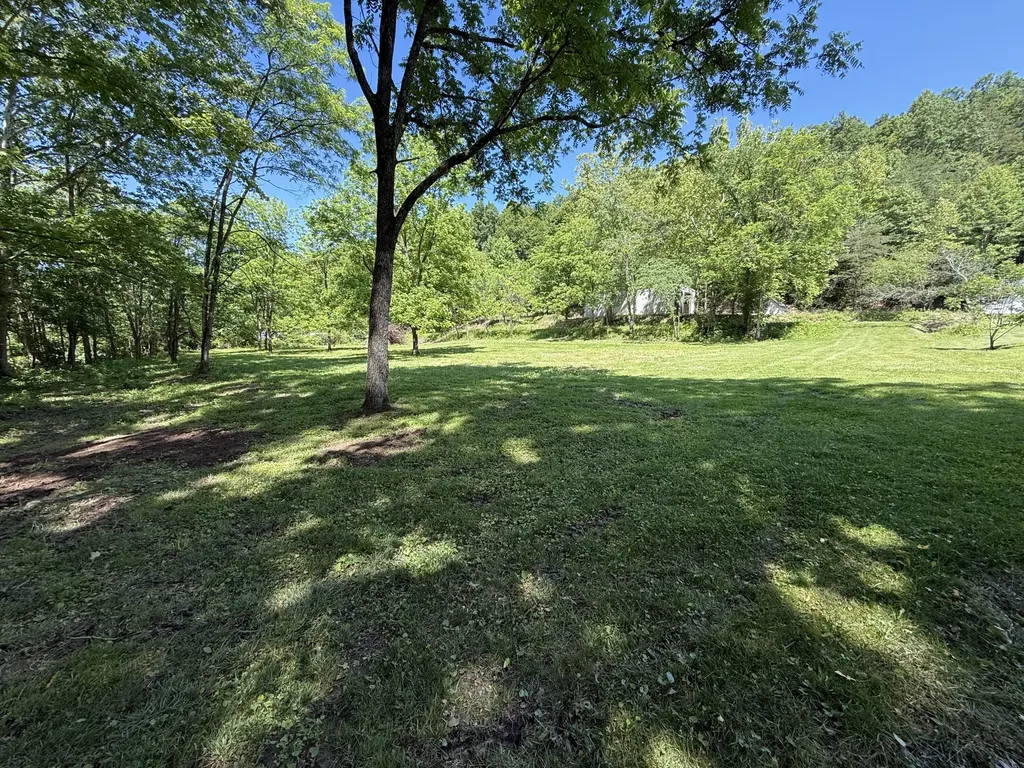 1233 Dog Trot Road Frenchburg KY 40322