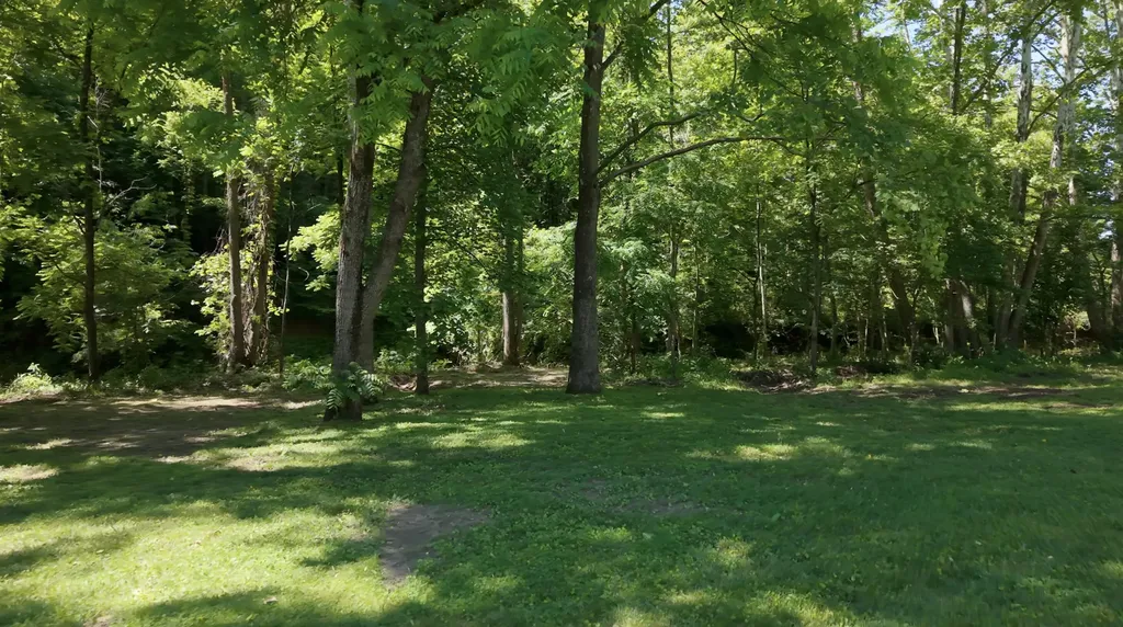 1233 Dog Trot Road Frenchburg KY 40322