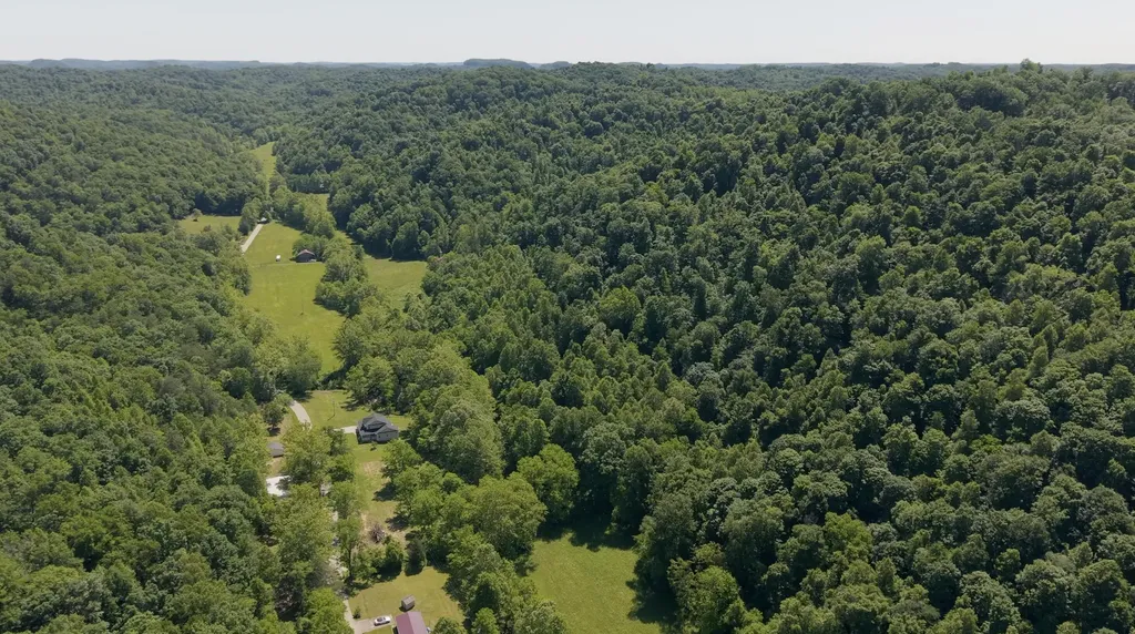 1233 Dog Trot Road Frenchburg KY 40322