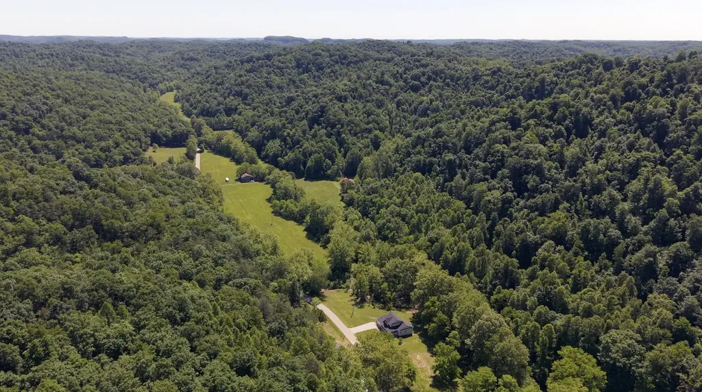1233 Dog Trot Road Frenchburg KY 40322