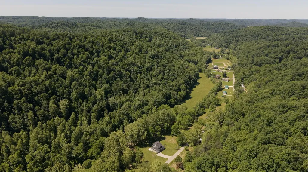 1233 Dog Trot Road Frenchburg KY 40322