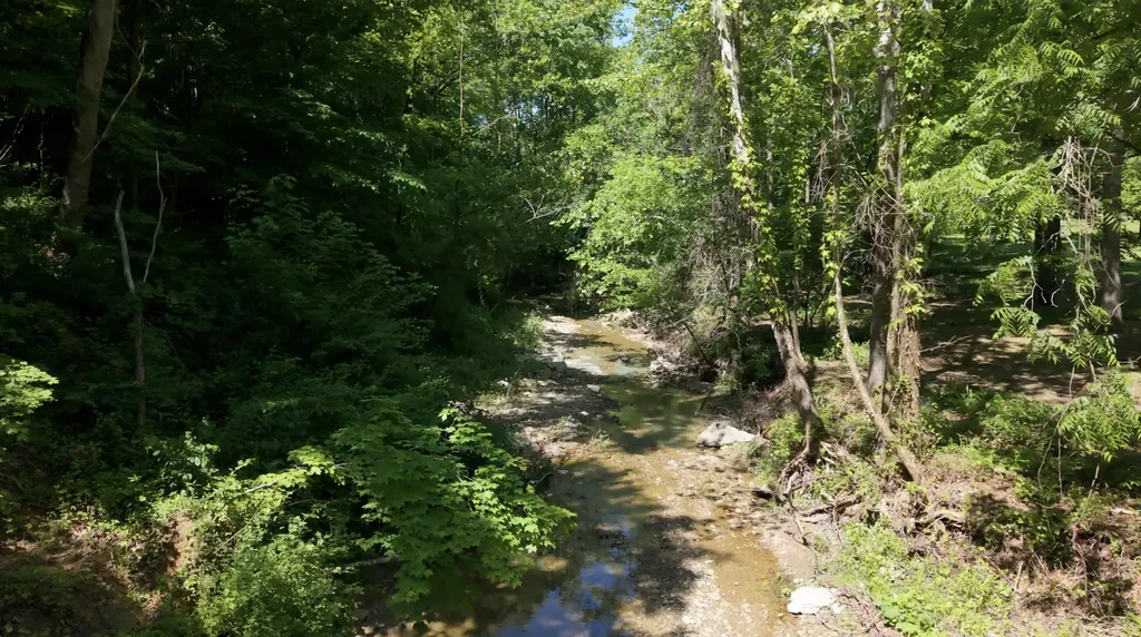 1233 Dog Trot Road Frenchburg KY 40322