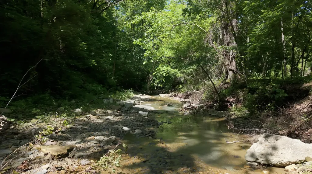 1233 Dog Trot Road Frenchburg KY 40322