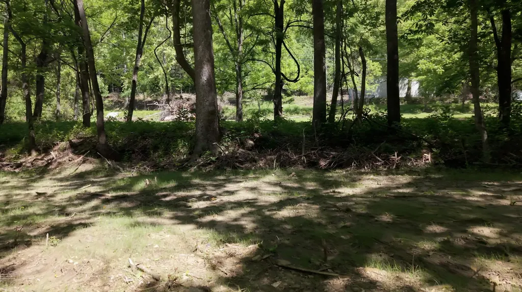 1233 Dog Trot Road Frenchburg KY 40322