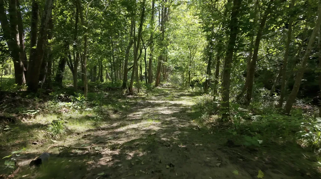 1233 Dog Trot Road Frenchburg KY 40322