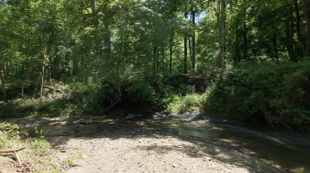 1233 Dog Trot Road Frenchburg KY 40322