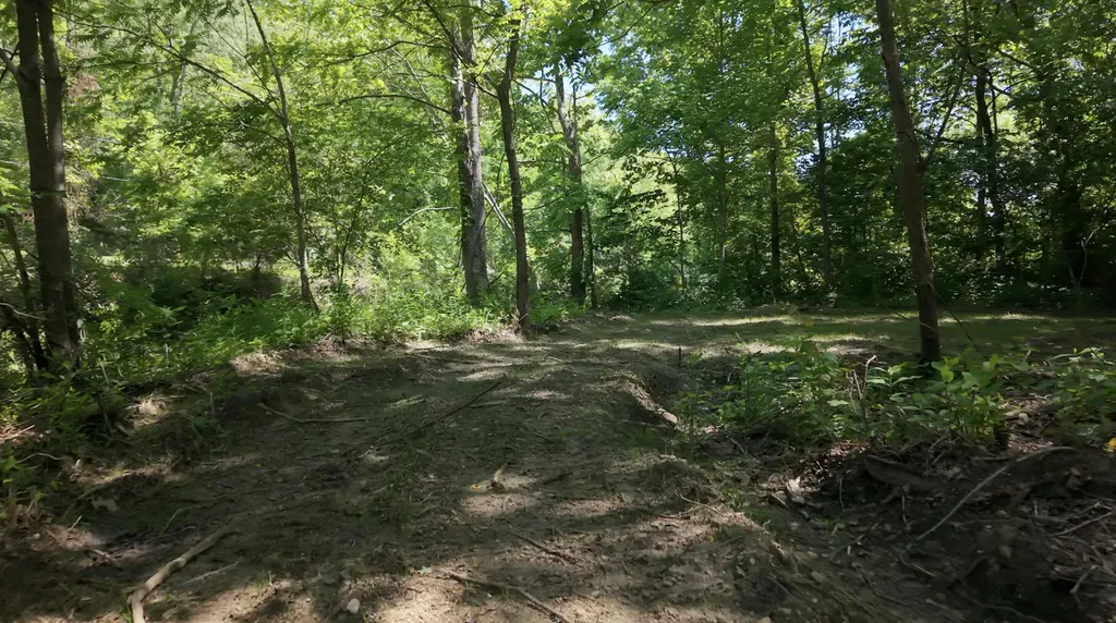 1233 Dog Trot Road Frenchburg KY 40322