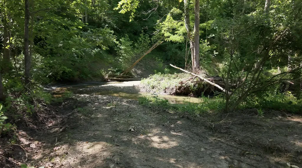 1233 Dog Trot Road Frenchburg KY 40322