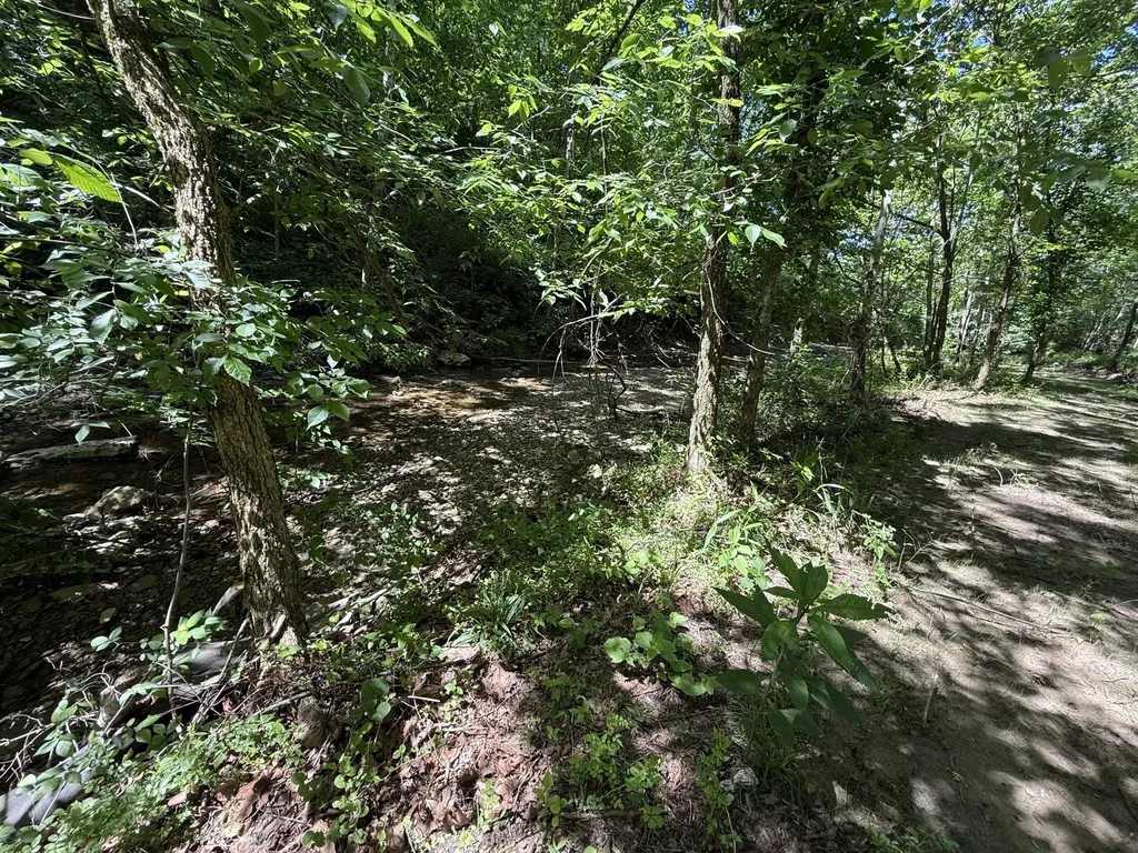 1233 Dog Trot Road Frenchburg KY 40322