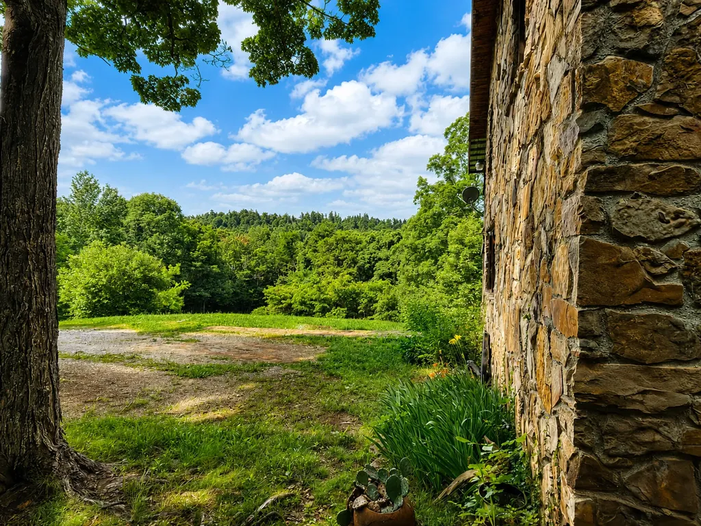 1493 Missouri Hollow Road Monticello KY 42633
