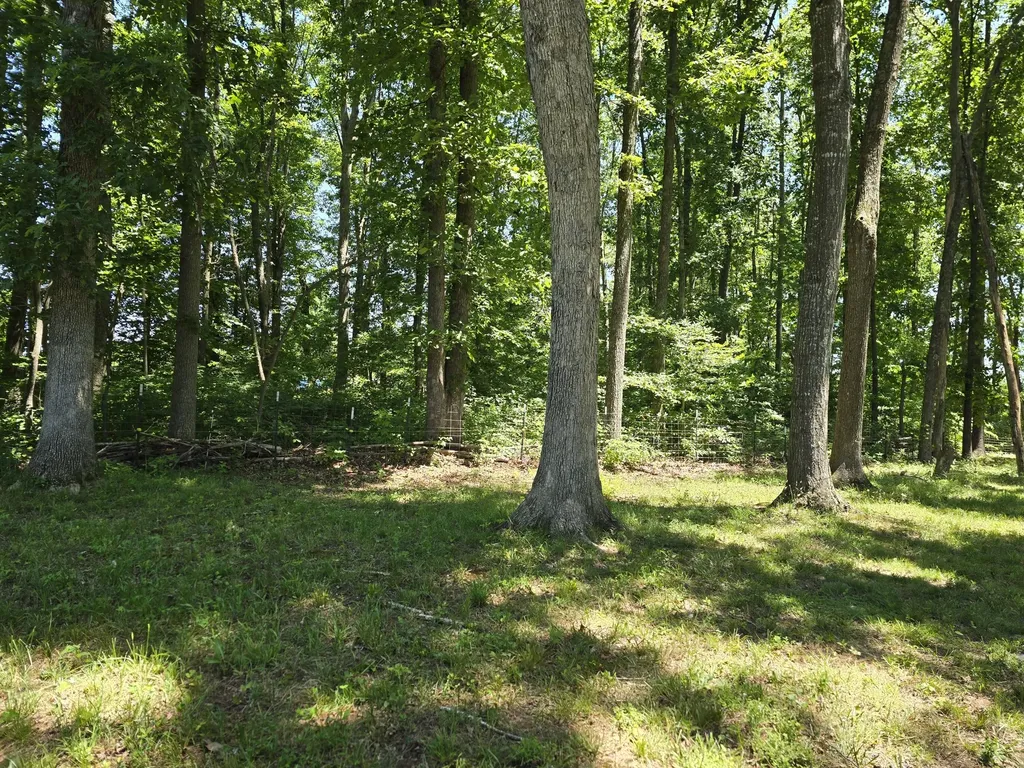 1545 Liberty Road Eubank KY 42567