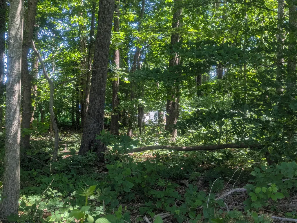 1545 Liberty Road Eubank KY 42567