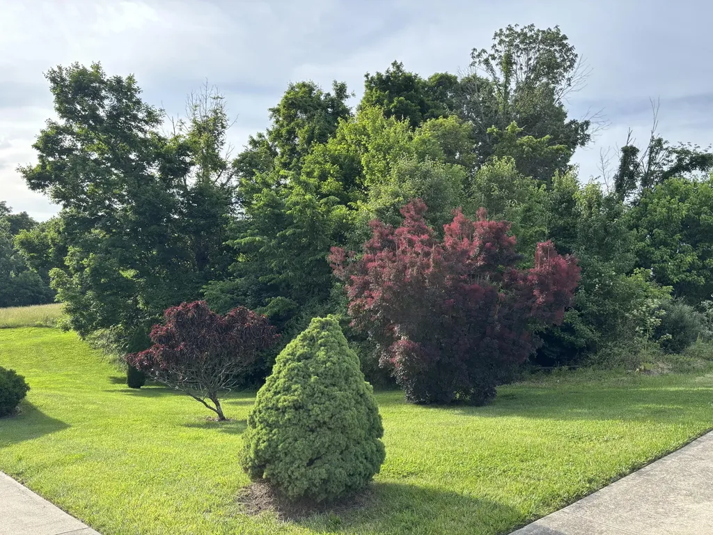 175 Maple Ridge Street Crittenden KY 41030