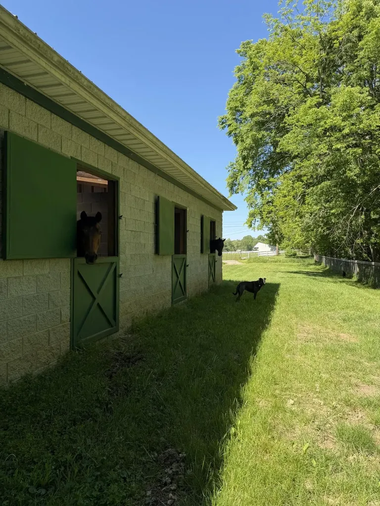 814 Cindy Blair Way Lexington KY 40503