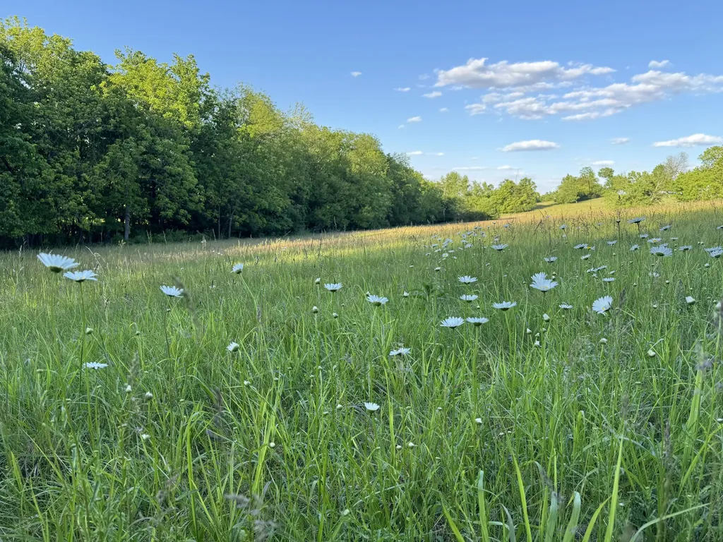 7950 Mccowans Ferry Road Versailles KY 40383