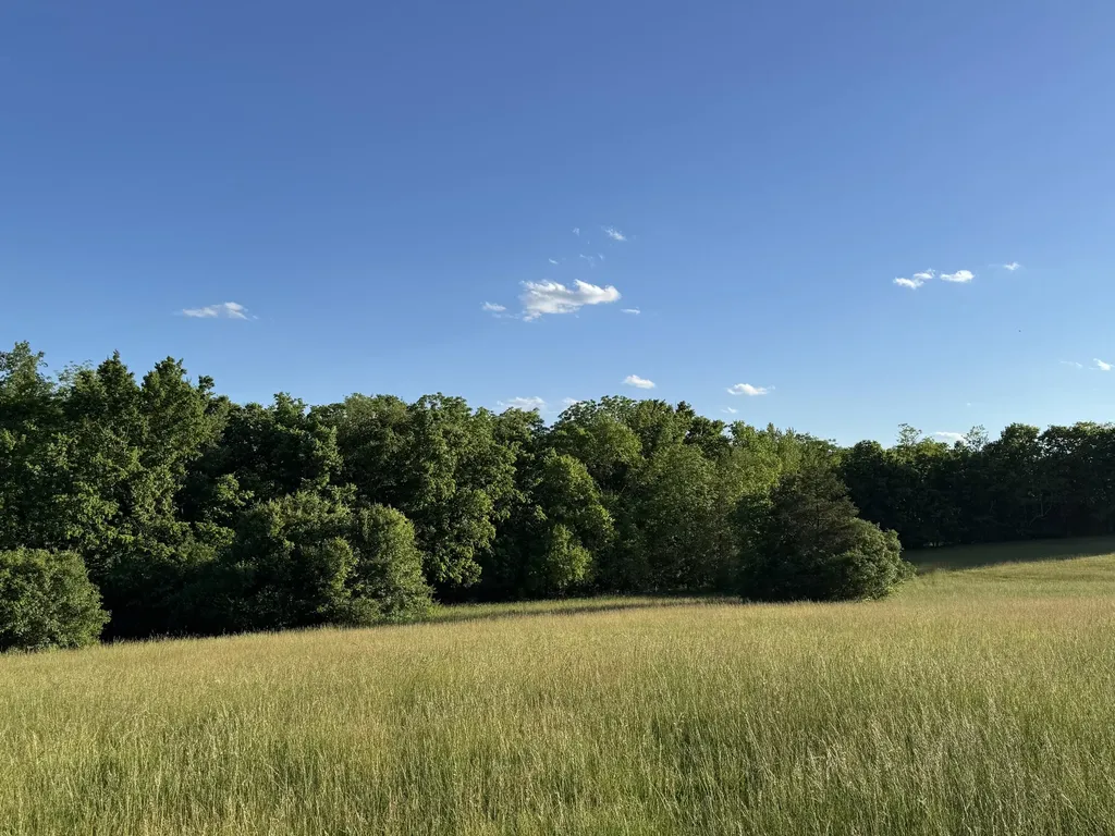 7950 Mccowans Ferry Road Versailles KY 40383