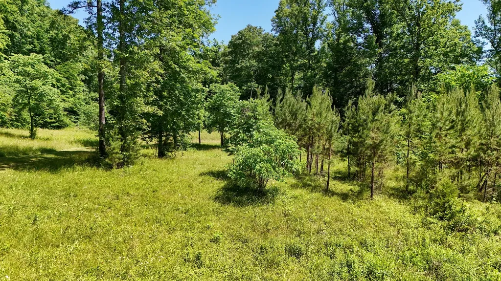 0 Birch Hollow Road Livingston KY 40445