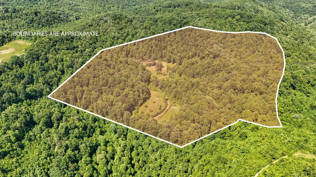 0 Birch Hollow Road Livingston KY 40445