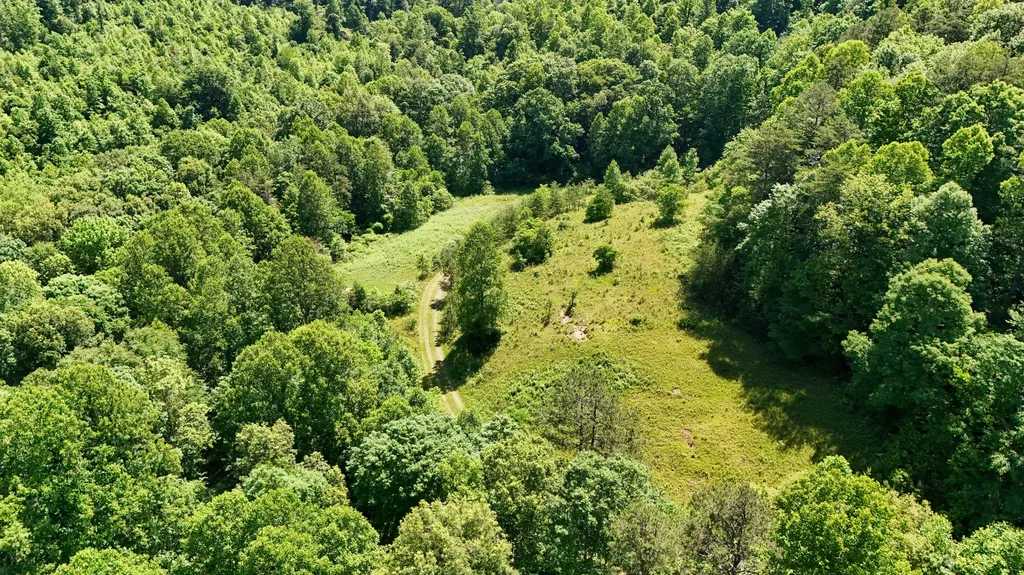 0 Birch Hollow Road Livingston KY 40445
