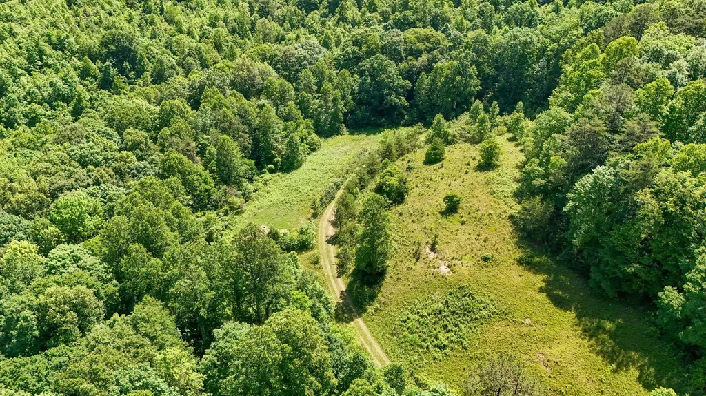 0 Birch Hollow Road Livingston KY 40445