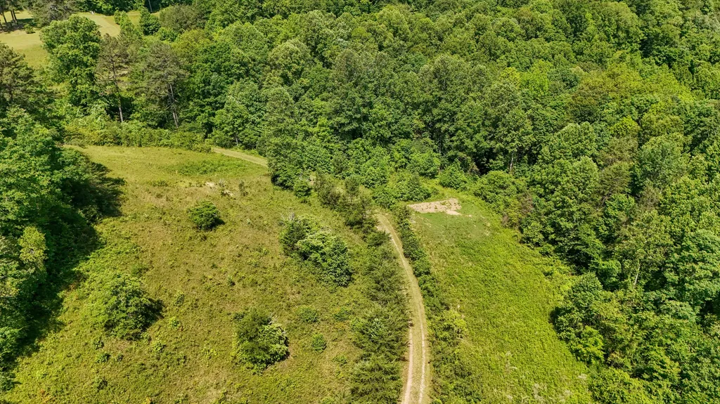 0 Birch Hollow Road Livingston KY 40445