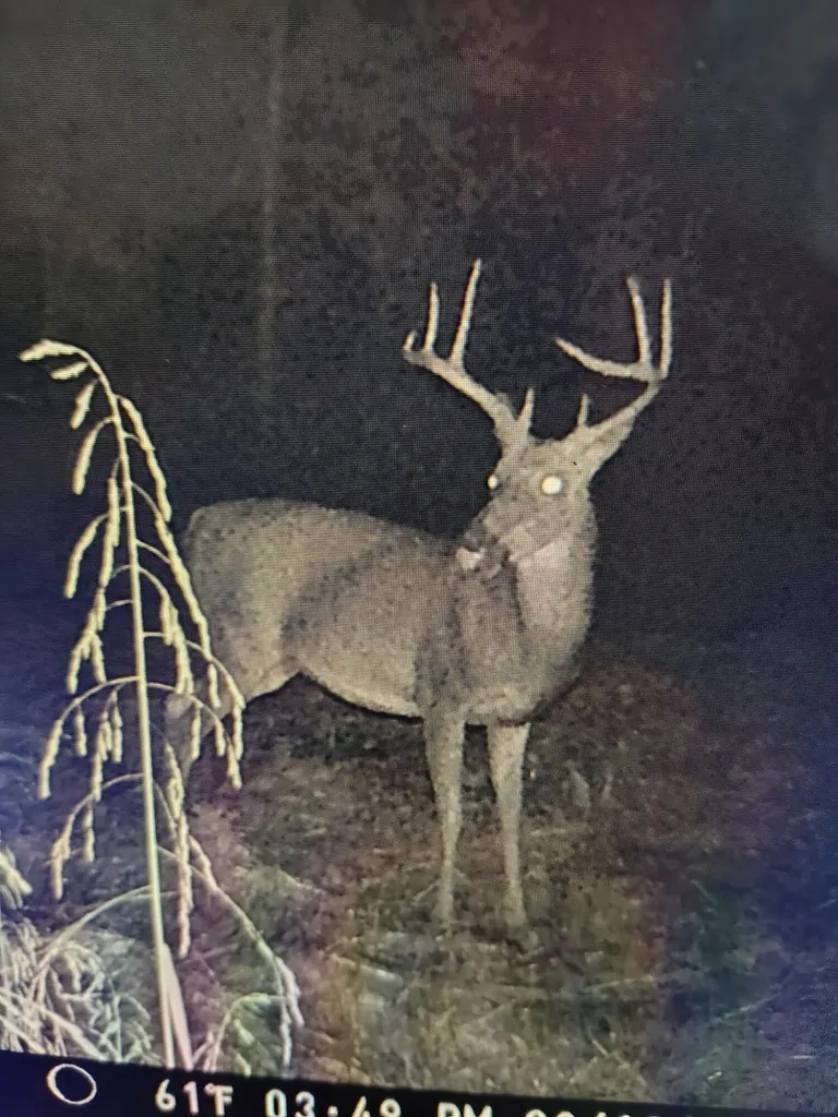 0 Birch Hollow Road Livingston KY 40445