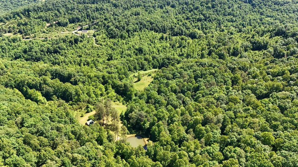 0 Birch Hollow Road Livingston KY 40445