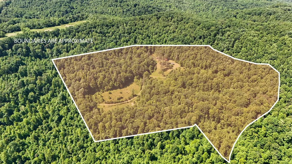 0 Birch Hollow Road Livingston KY 40445