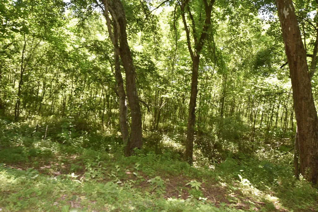 66 Leisure Lane Olympia KY 40358