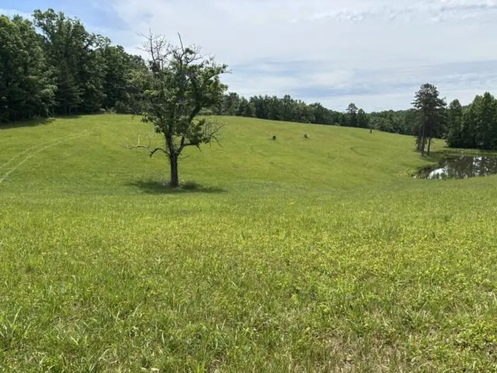 1398 Begley Road Mckee KY 40447