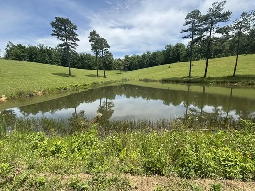 1398 Begley Road Mckee KY 40447