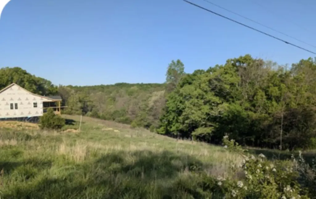 1874 Ogden Ridge Road Mount Olivet KY 41064