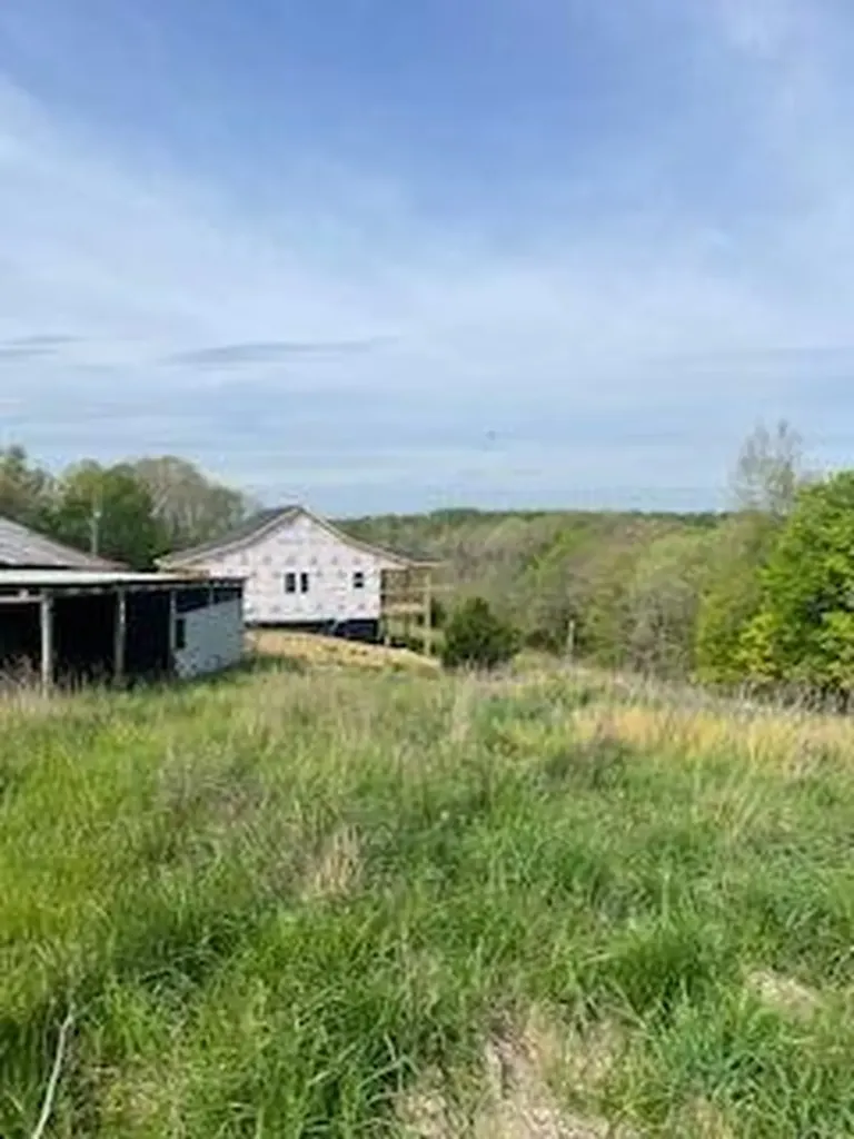 1874 Ogden Ridge Road Mount Olivet KY 41064