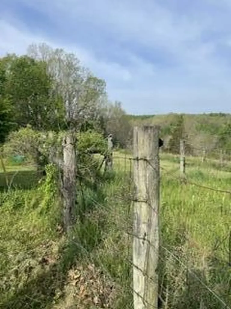 1874 Ogden Ridge Road Mount Olivet KY 41064