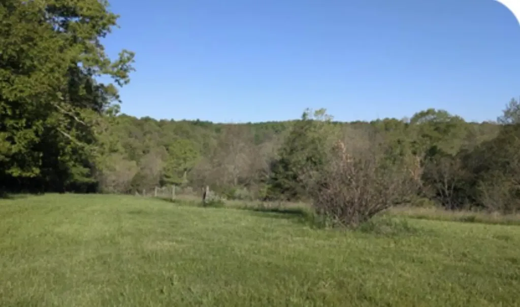 1874 Ogden Ridge Road Mount Olivet KY 41064
