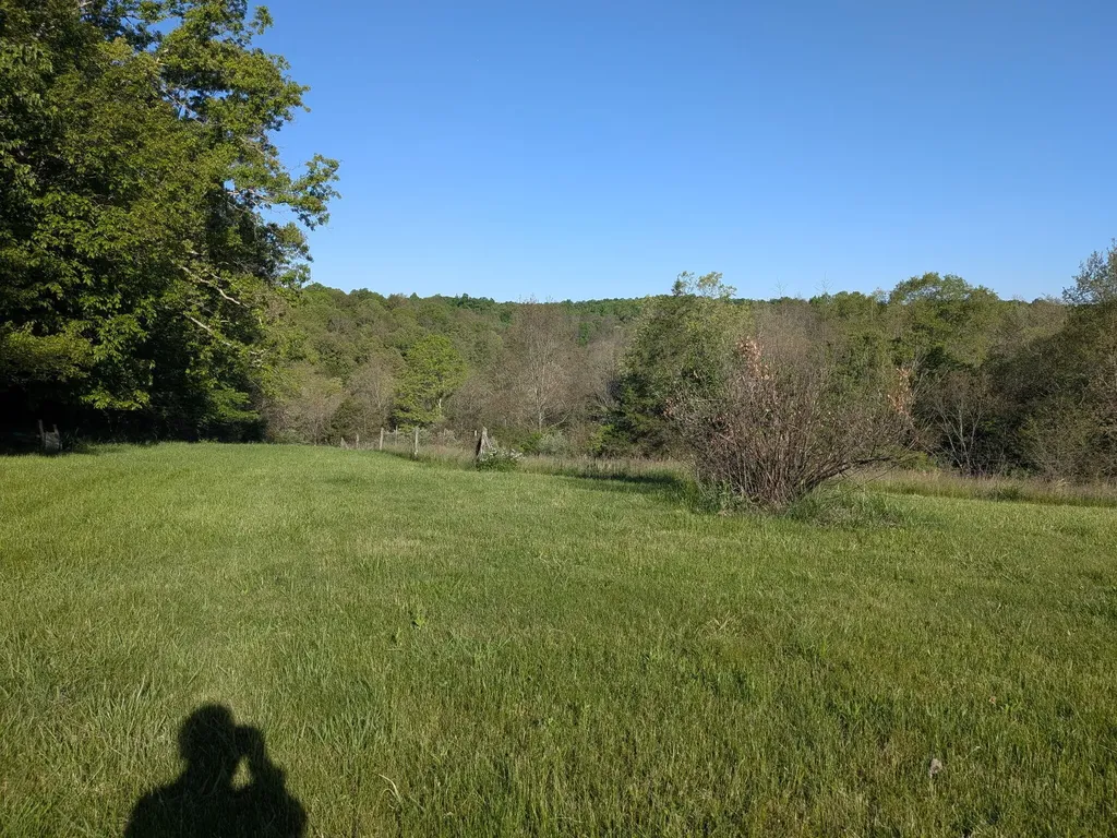 1874 Ogden Ridge Road Mount Olivet KY 41064