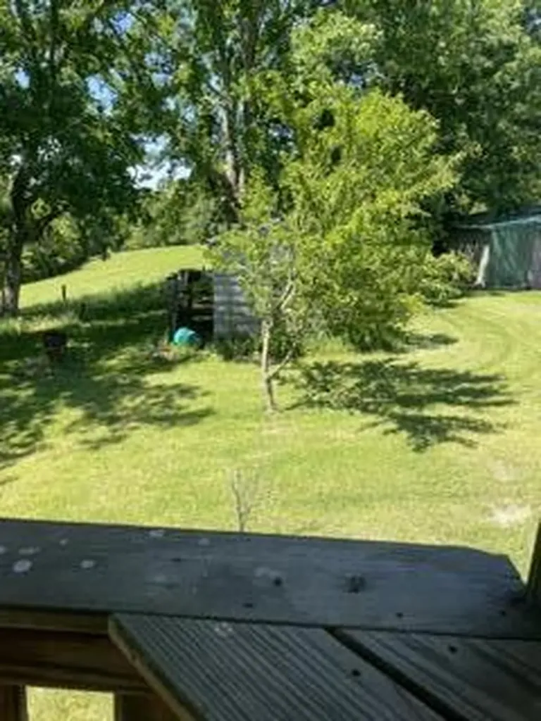 1874 Ogden Ridge Road Mount Olivet KY 41064